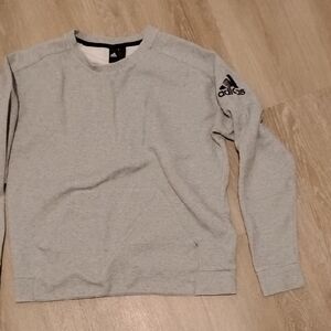 Adidas Kids Light Gray Sweatshirt